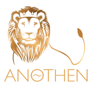 LOGO-Anothen-Logo---no-Byline